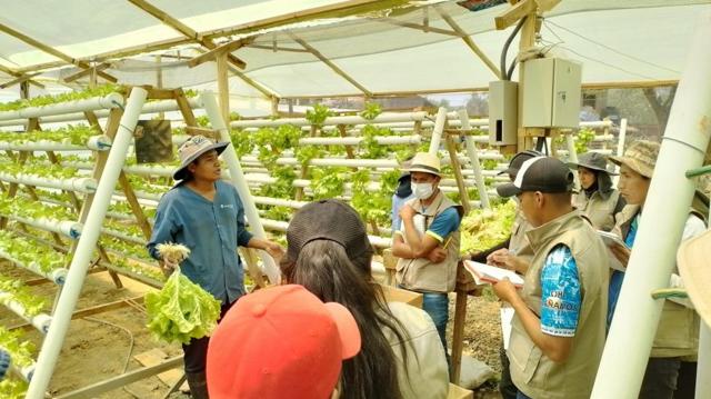 Impact Of Agriculture On The Economy