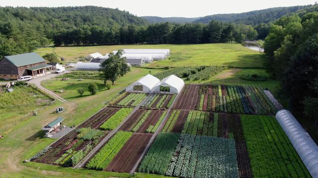 Agriculture Guidelines