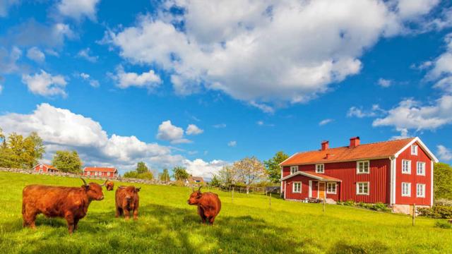 Choosing the right farming utilities